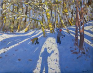 Winter Elvaston Castle, 2008 af Andrew Macara